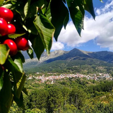 Albareilla By #Cherrygredos S’Arenal Exterior foto