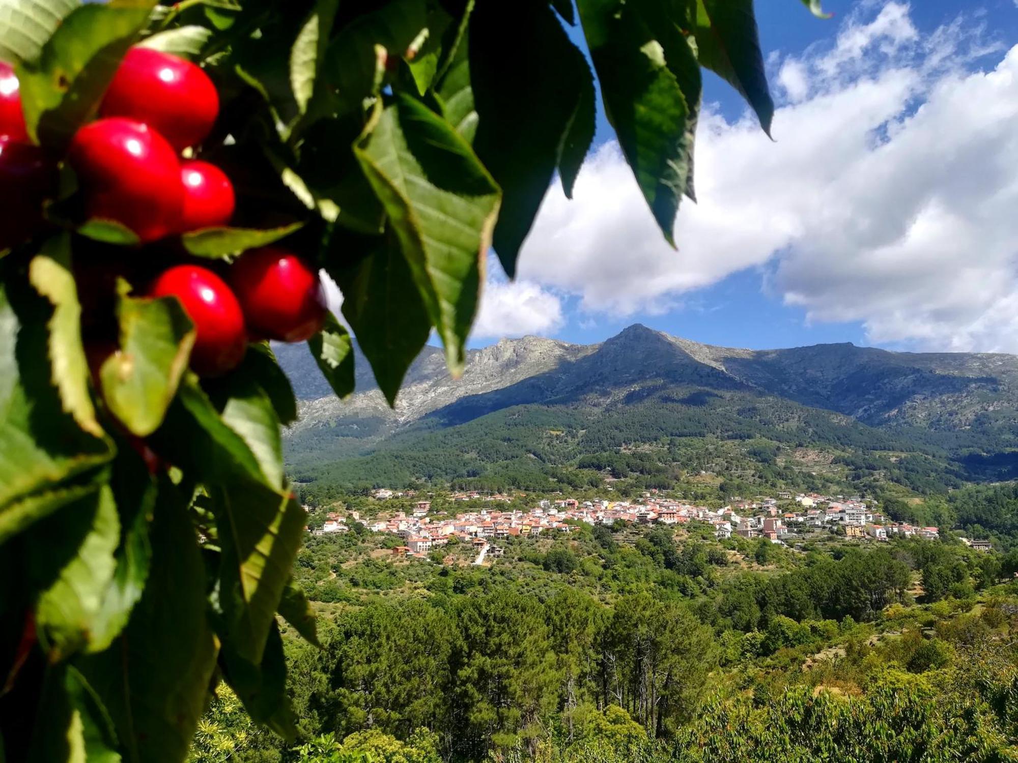 Albareilla By #Cherrygredos S’Arenal Exterior foto