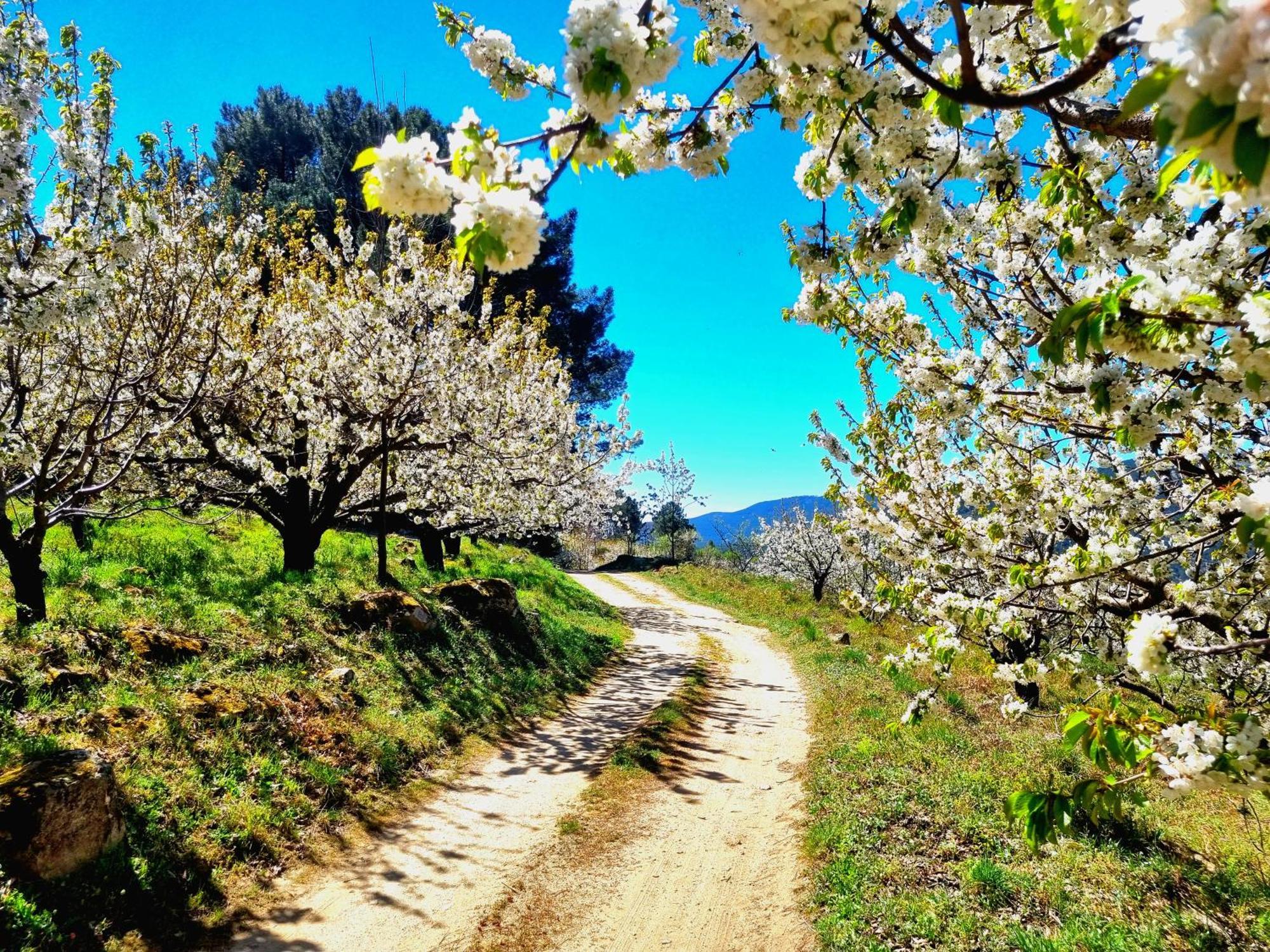 Albareilla By #Cherrygredos S’Arenal Exterior foto