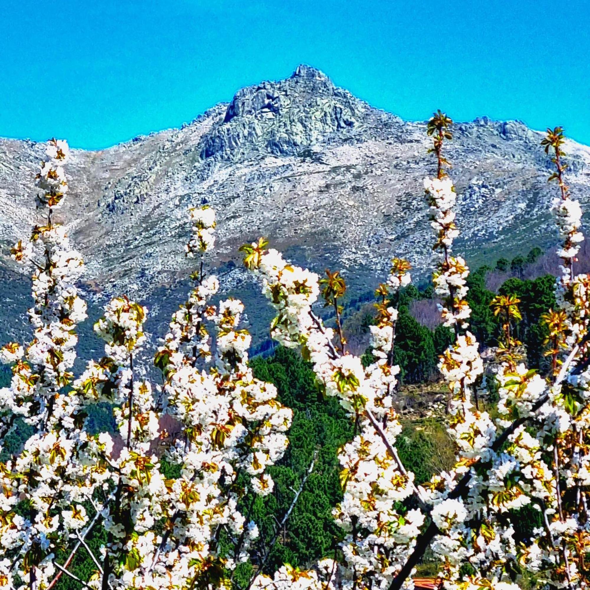 Albareilla By #Cherrygredos S’Arenal Exterior foto