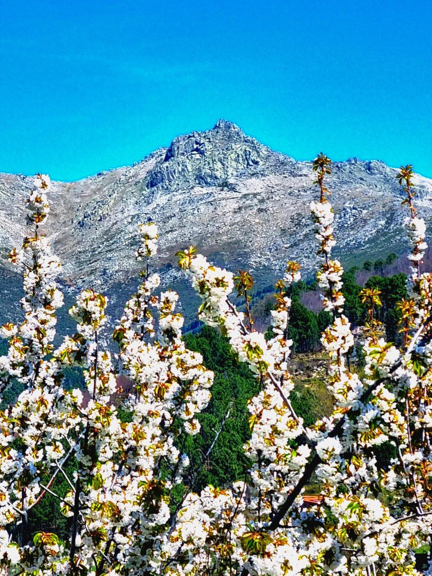 Albareilla By #Cherrygredos S’Arenal Exterior foto