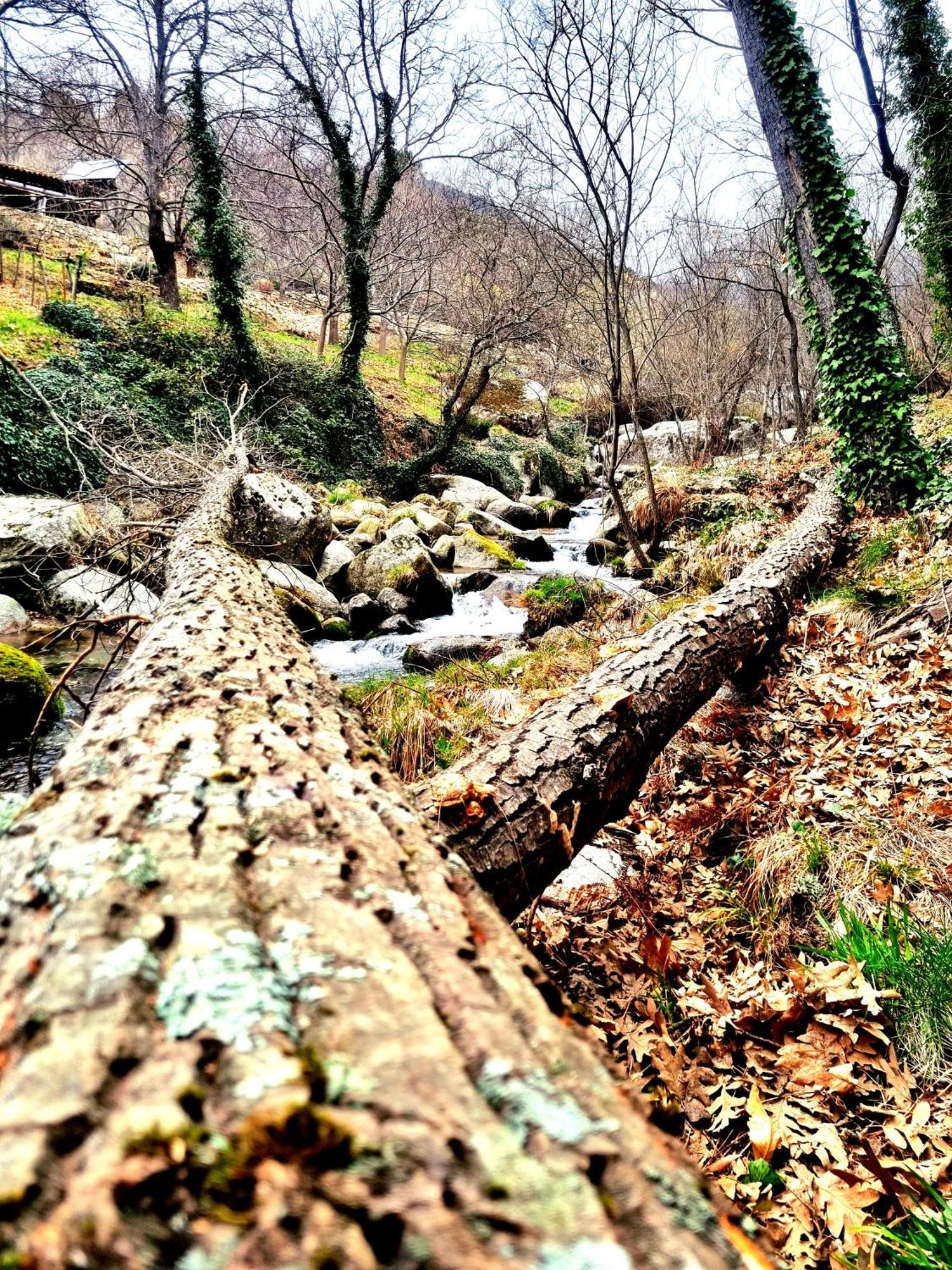 Albareilla By #Cherrygredos S’Arenal Exterior foto