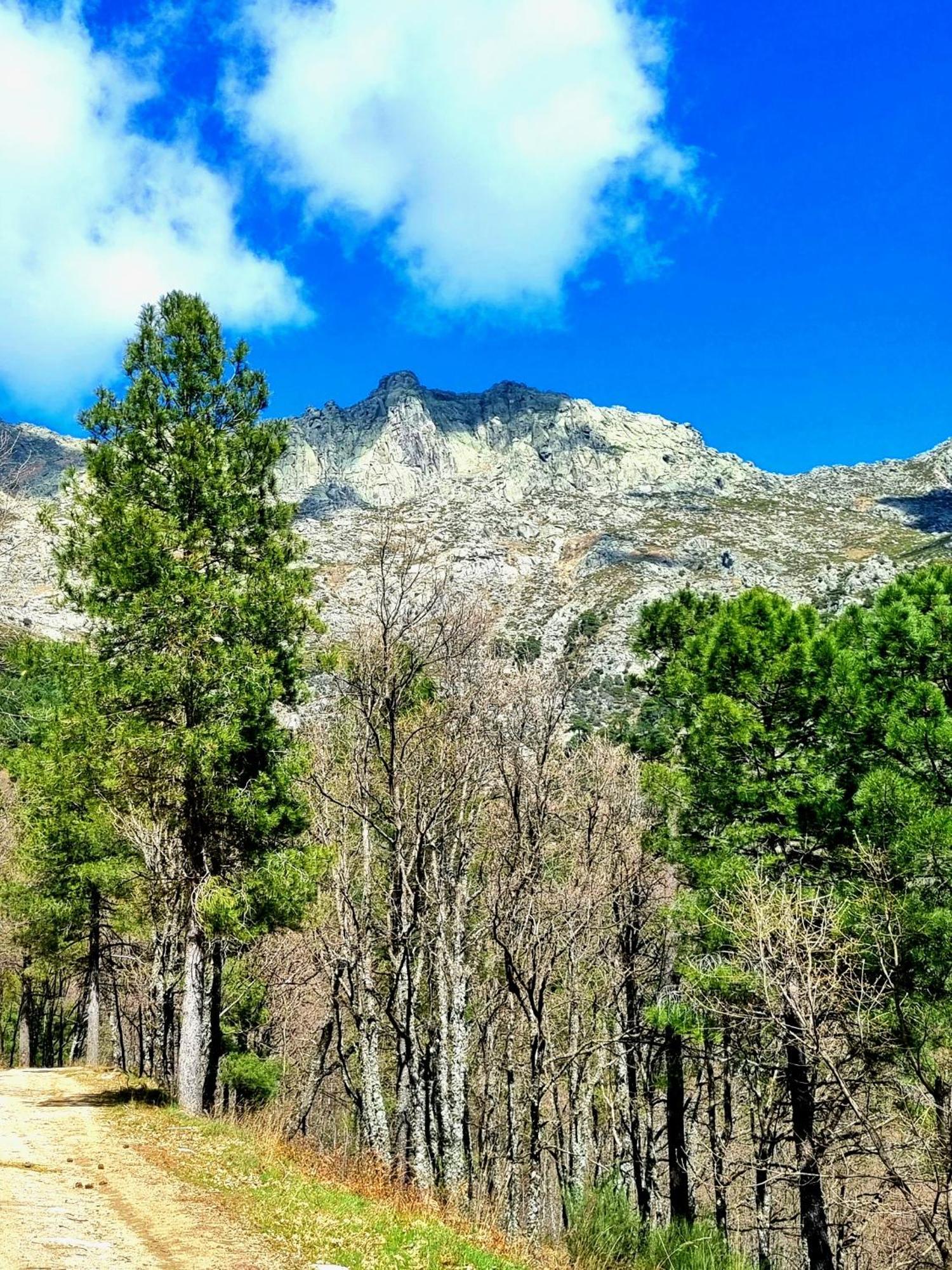 Albareilla By #Cherrygredos S’Arenal Exterior foto